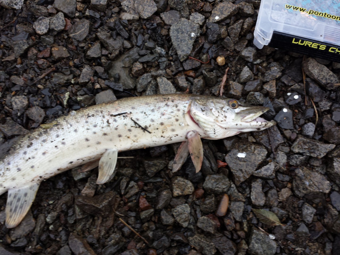20151009_172235.jpg