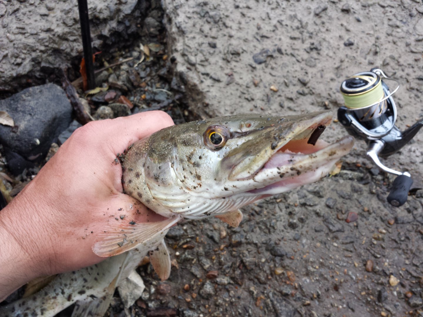 20151009_172308.jpg
