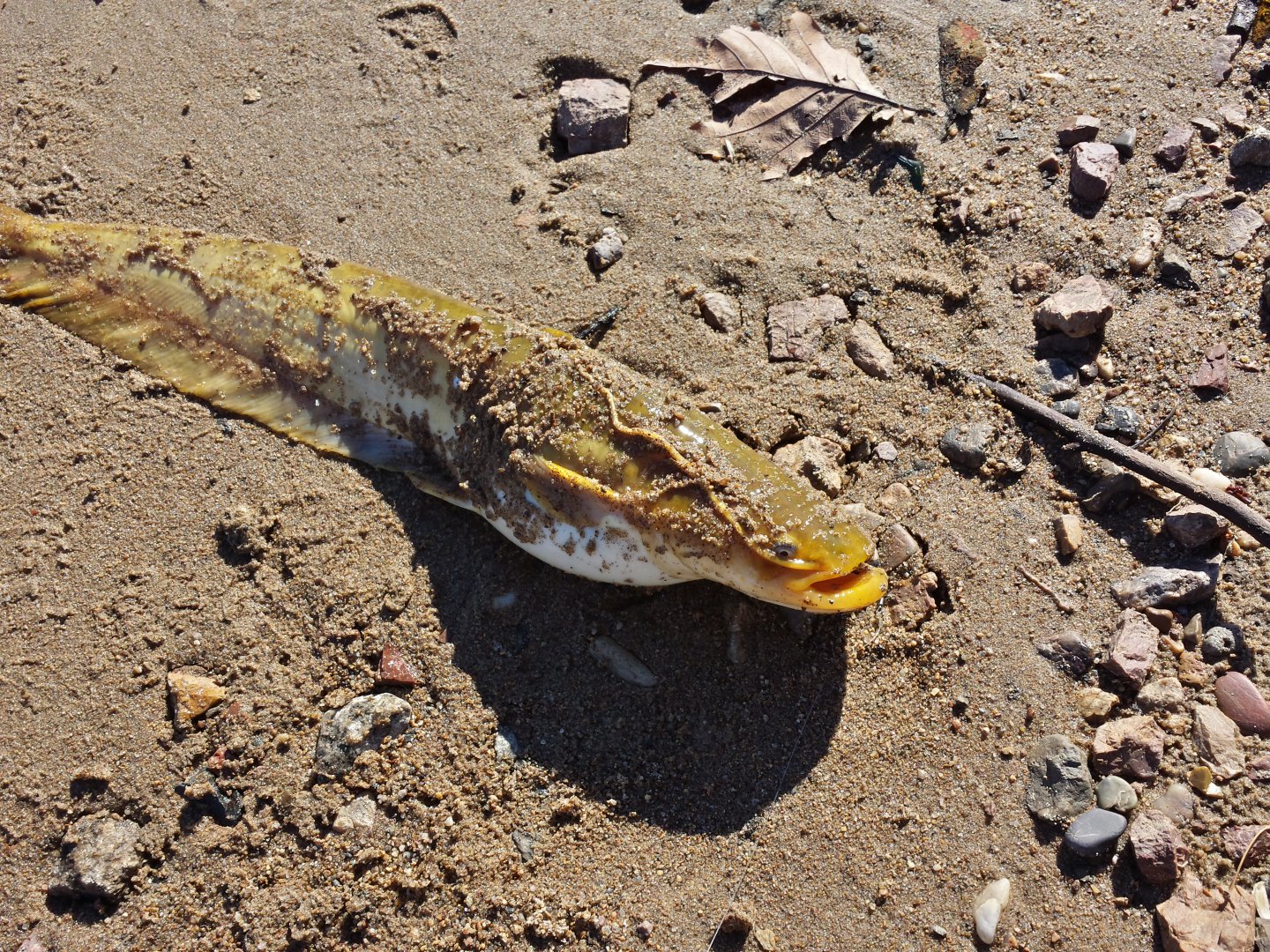20151014_113705_Richtone(HDR).jpg