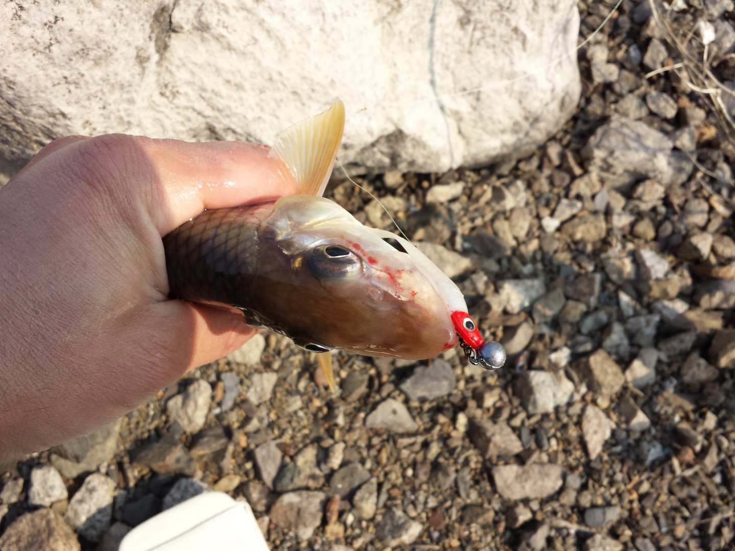 20151016_115552.jpg