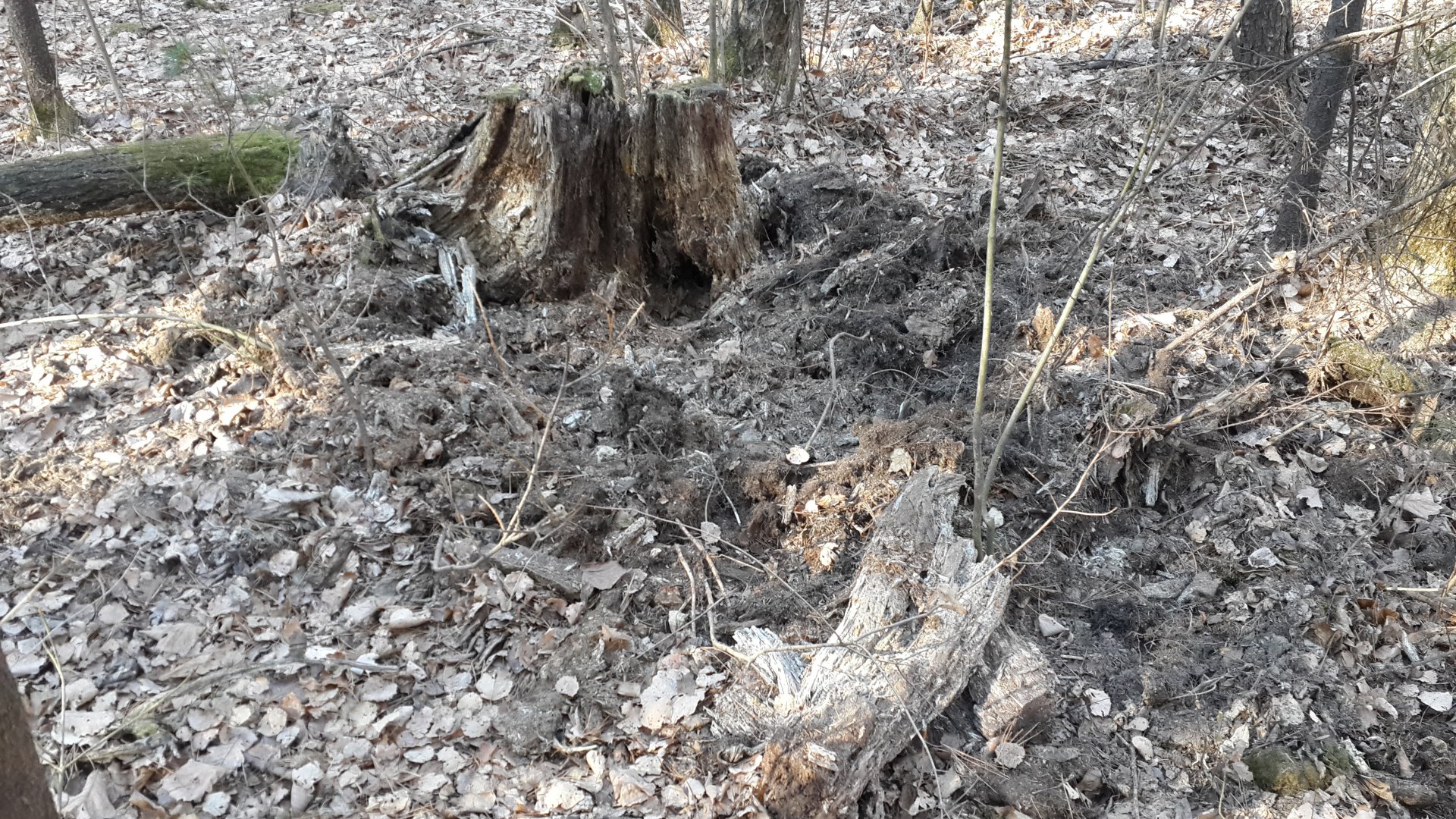 20151106_104417.jpg