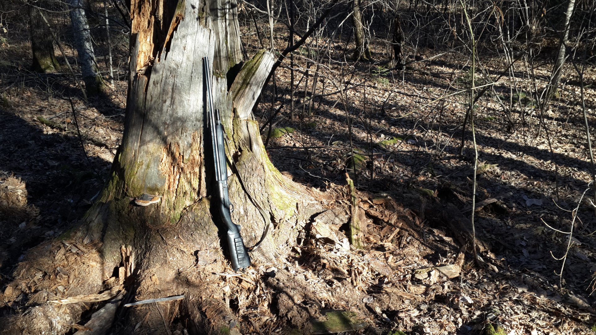 20151106_105559.jpg
