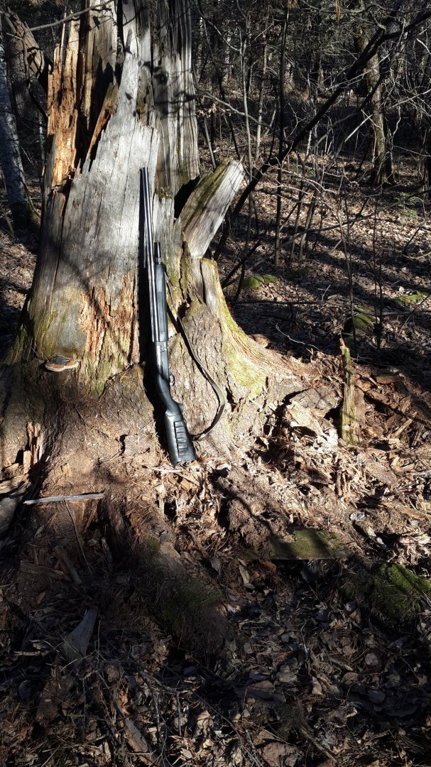20151106_105611.jpg