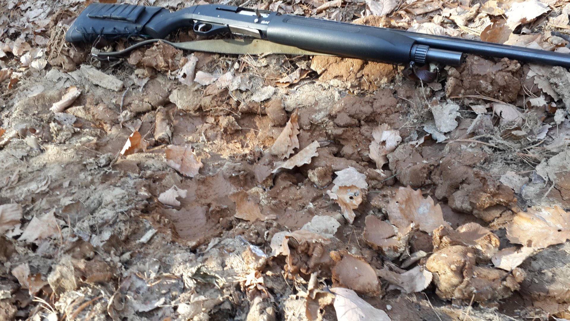 20151106_111814.jpg