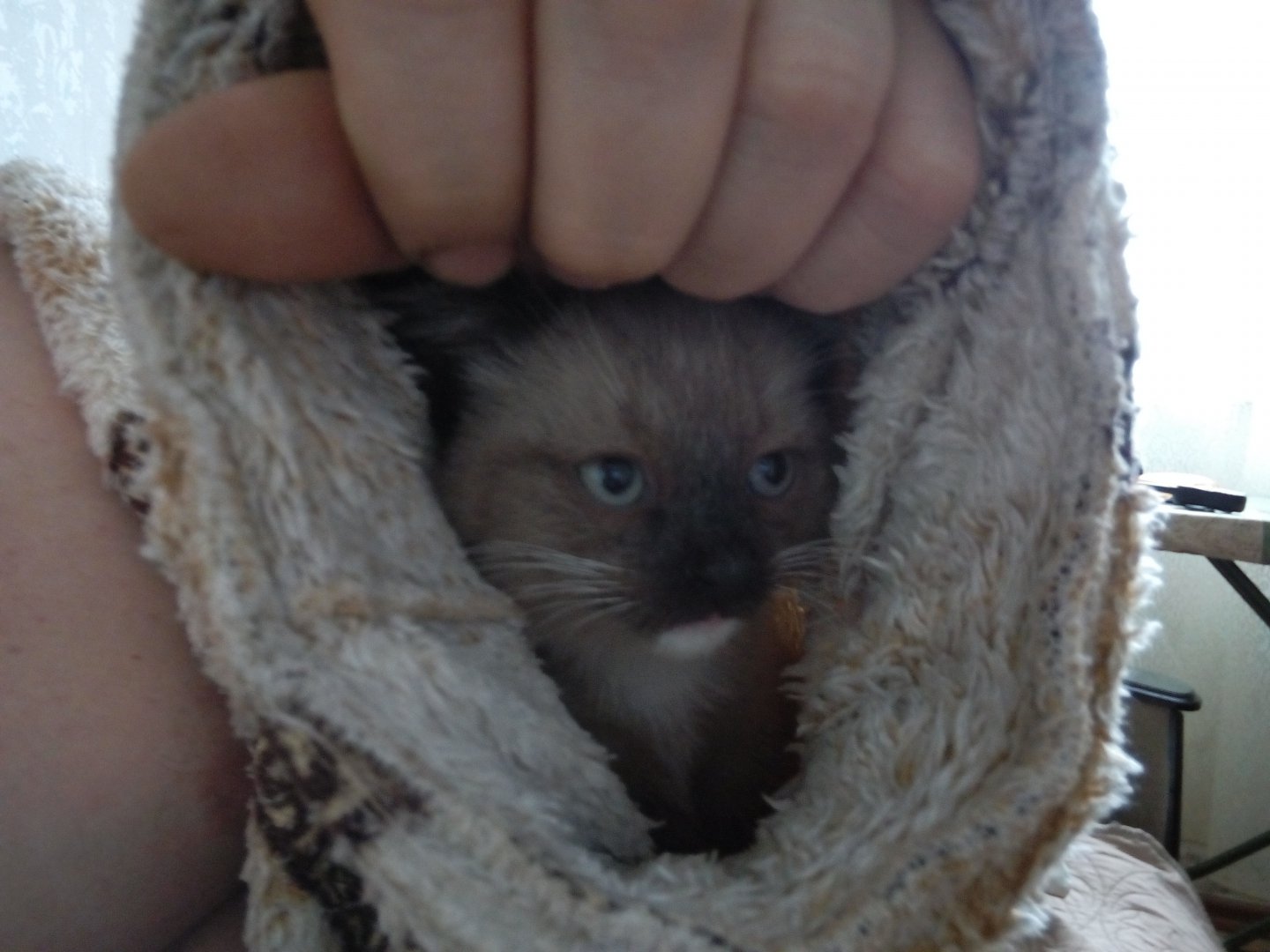 2016-04-24 01-57-42.JPG