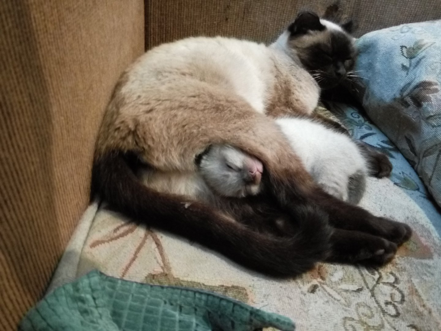 2016-07-24 10-16-18.JPG