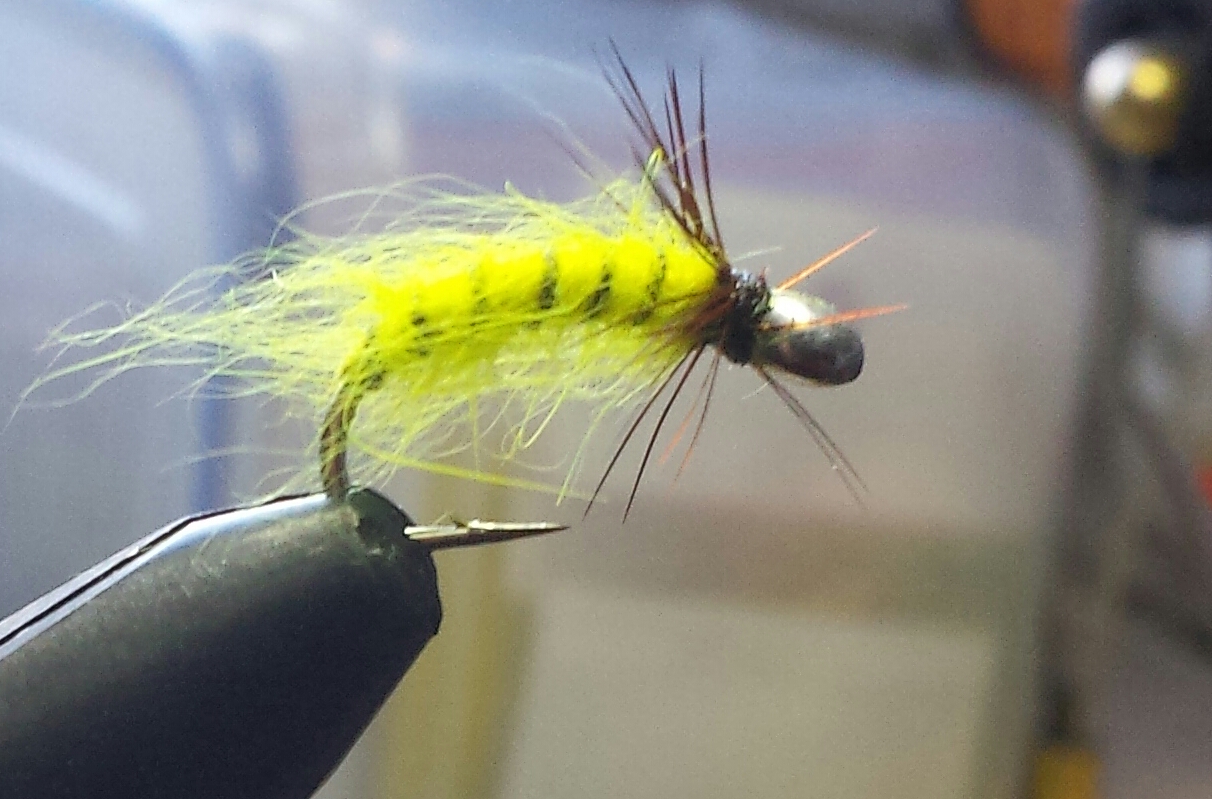20160131_151812-1.jpg