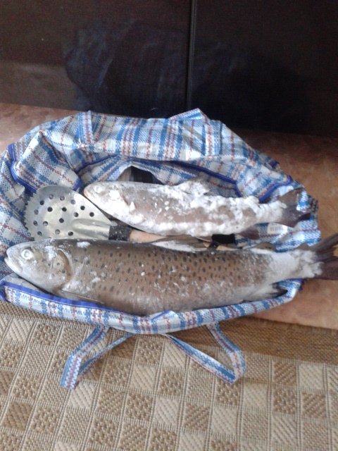 20160207_124313.jpg 20160207_124313.jpg