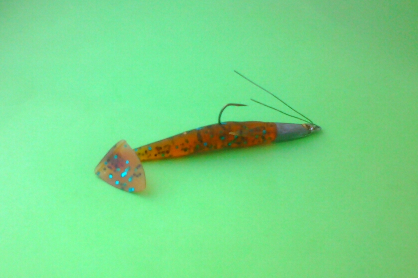 20160209_110555.jpg