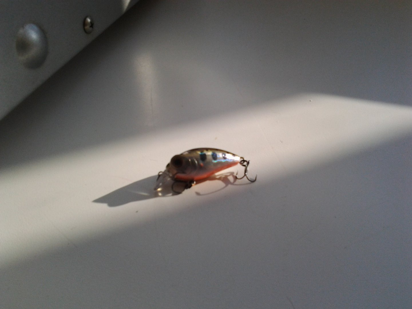 20160223_162602.jpg