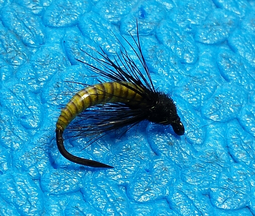 20160229_175024-1.jpg