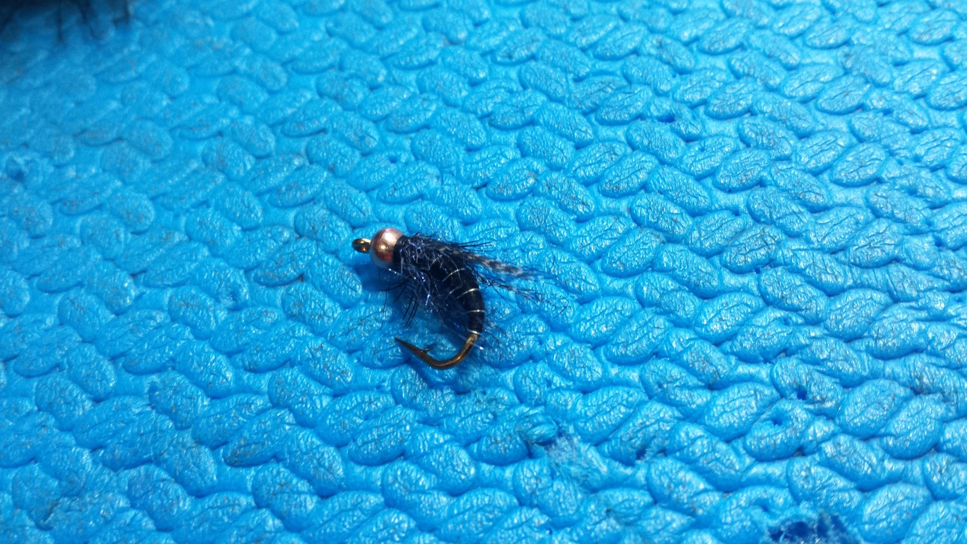 20160303_152344.jpg