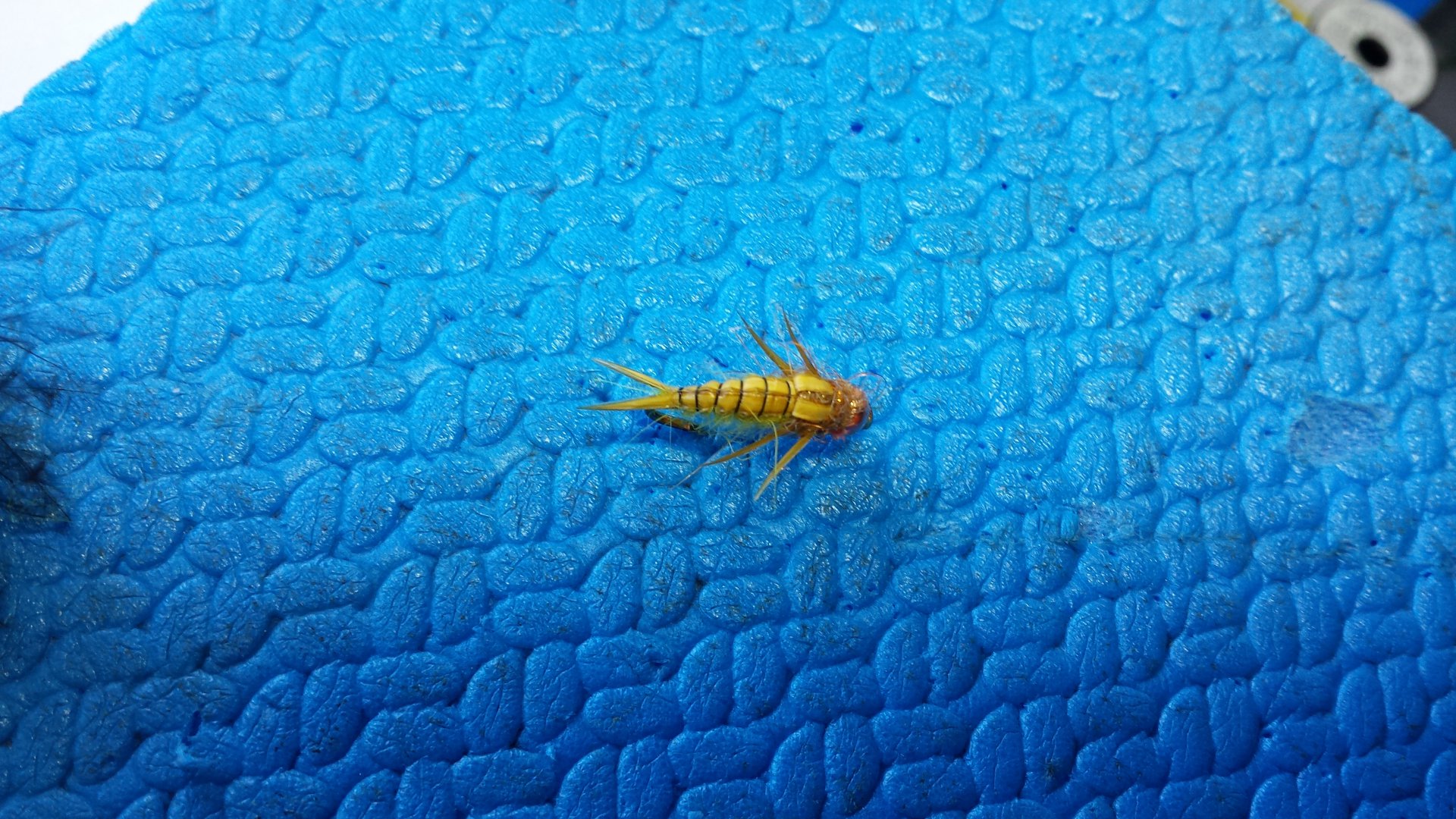20160303_160850.jpg