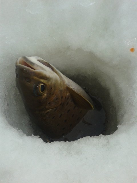 20160313_095341.jpg 20160313_095341.jpg