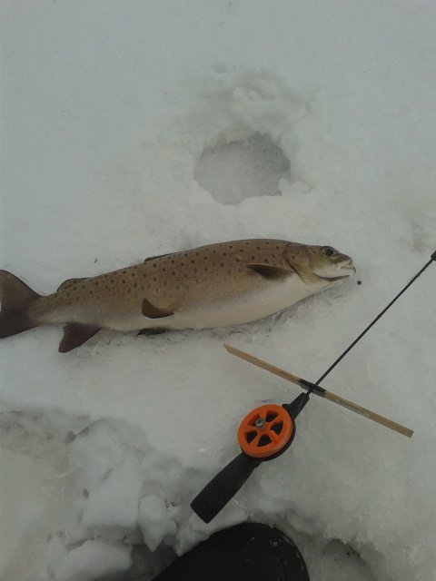 20160313_095426.jpg 20160313_095426.jpg