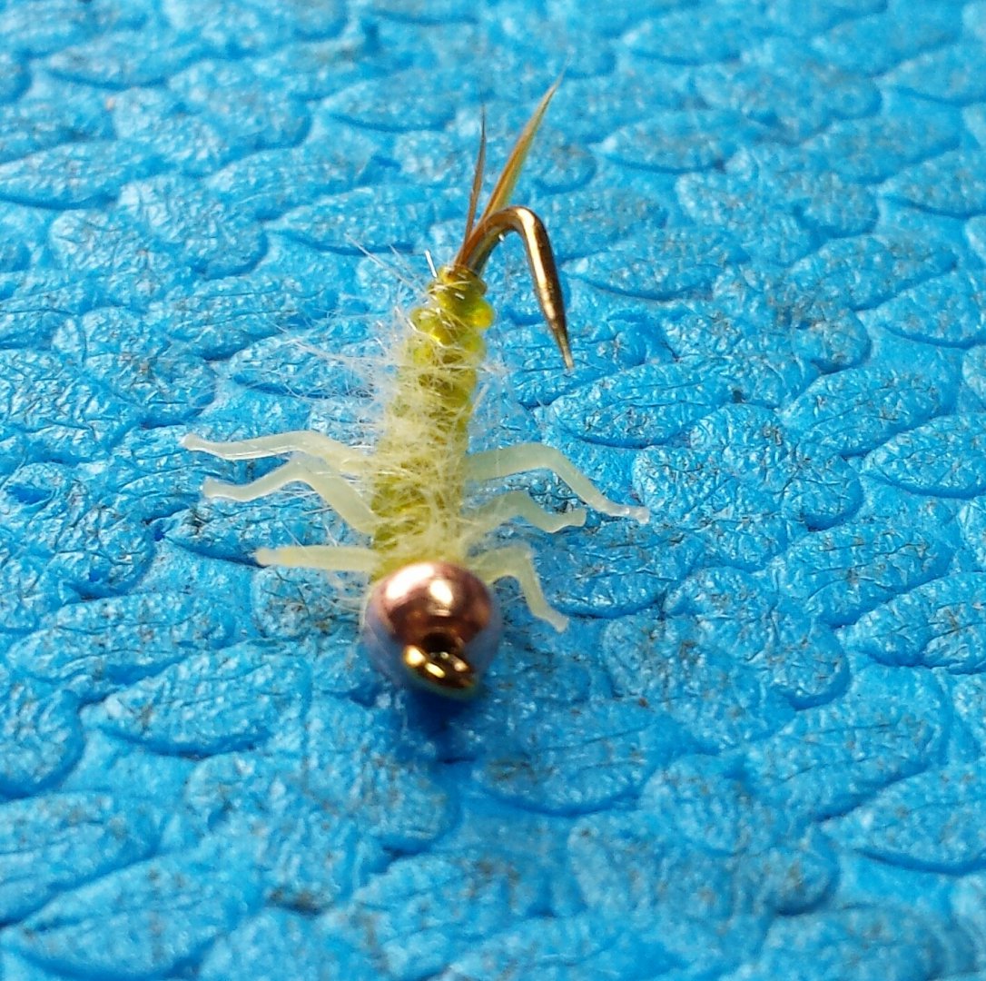 20160313_122758-1.jpg