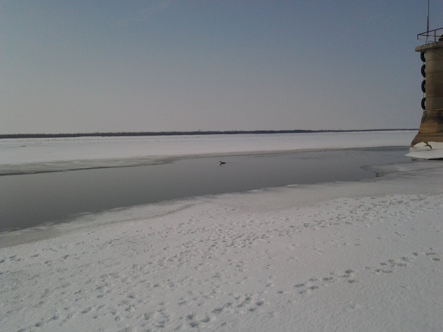 20160316_125848.jpg