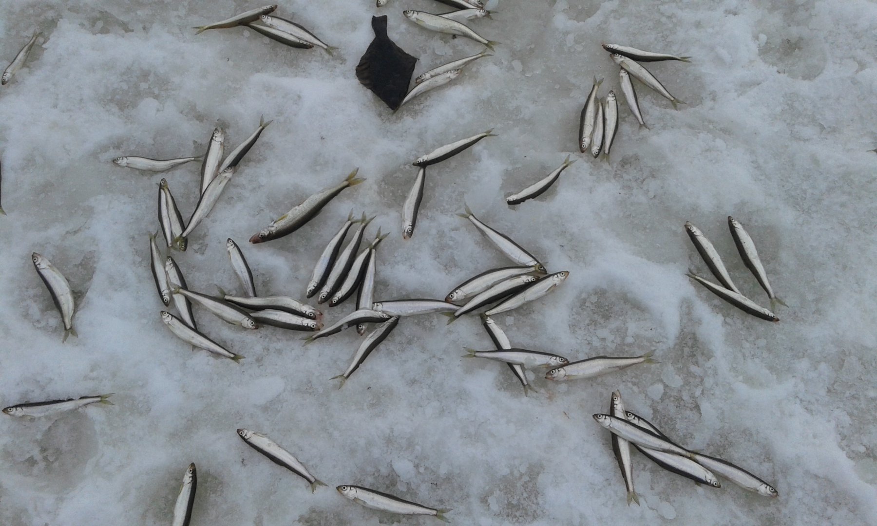 20160318_110245.jpg