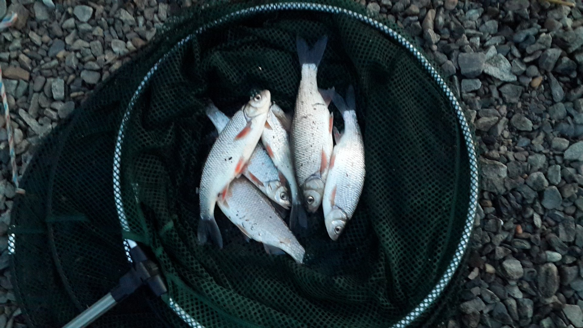 20160418_200941.jpg