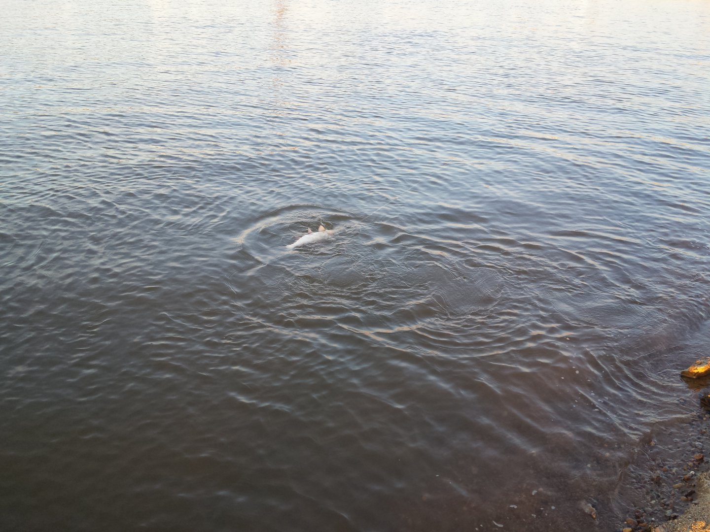 20160427_194909.jpg