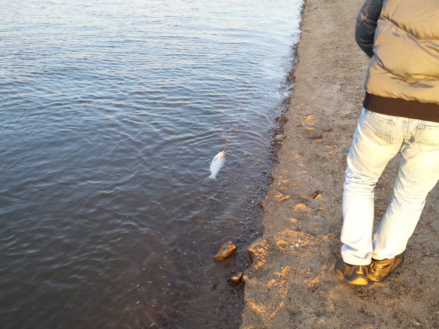 20160427_194914.jpg