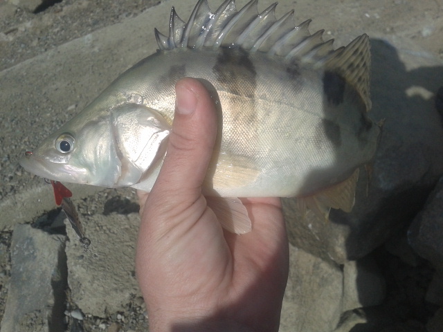 20160429_170400.jpg