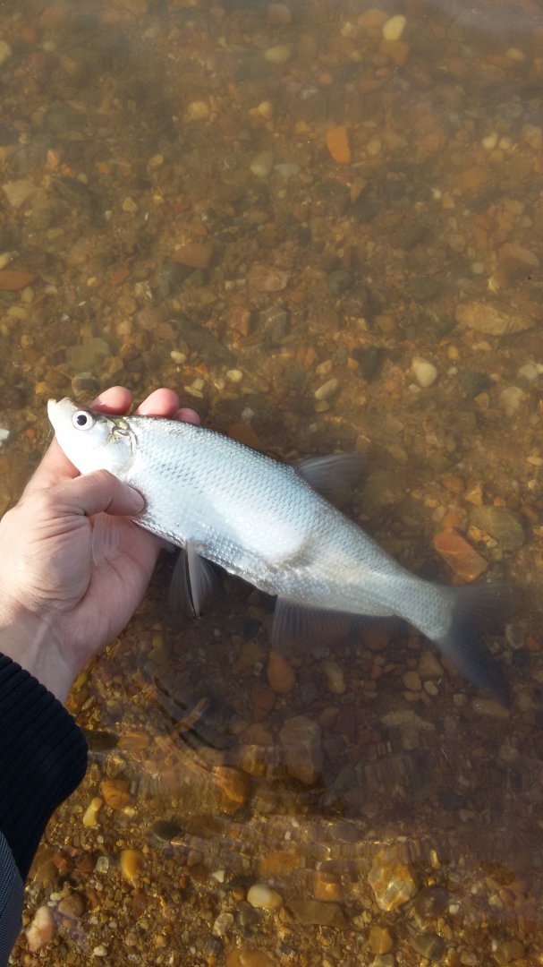 20160429_171119.jpg