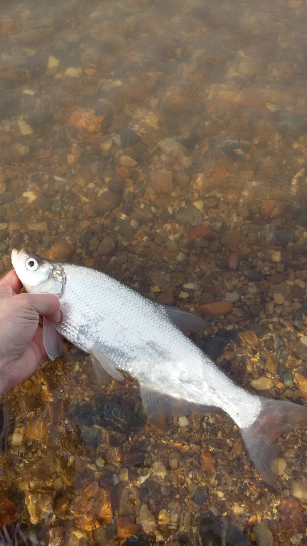 20160429_172115.jpg