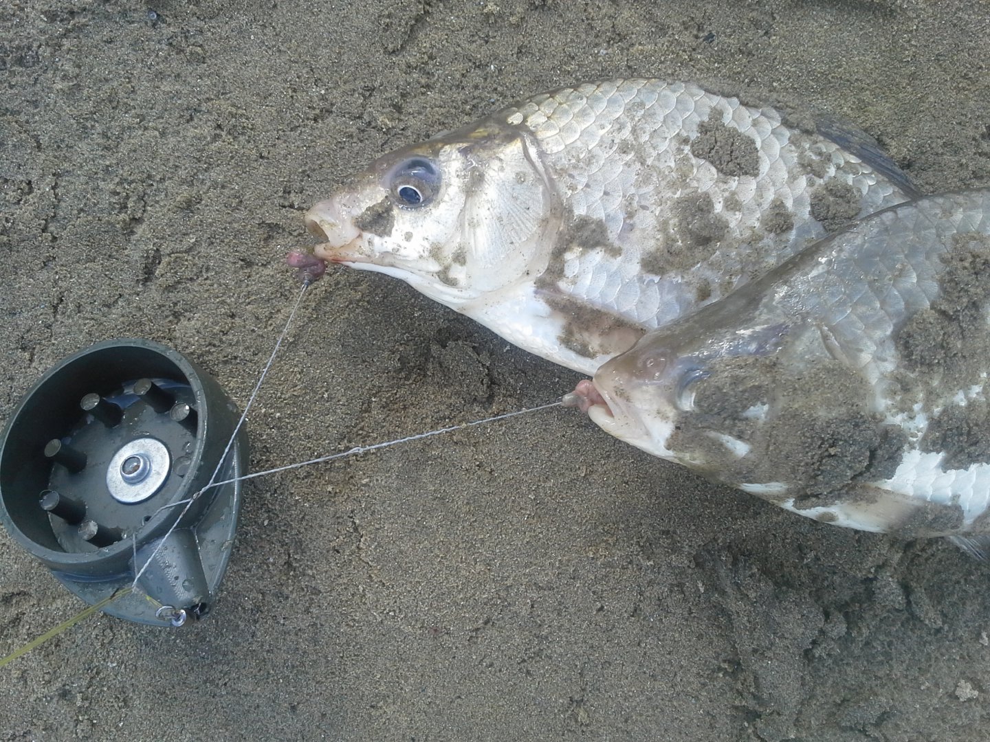 20160507_161433.jpg