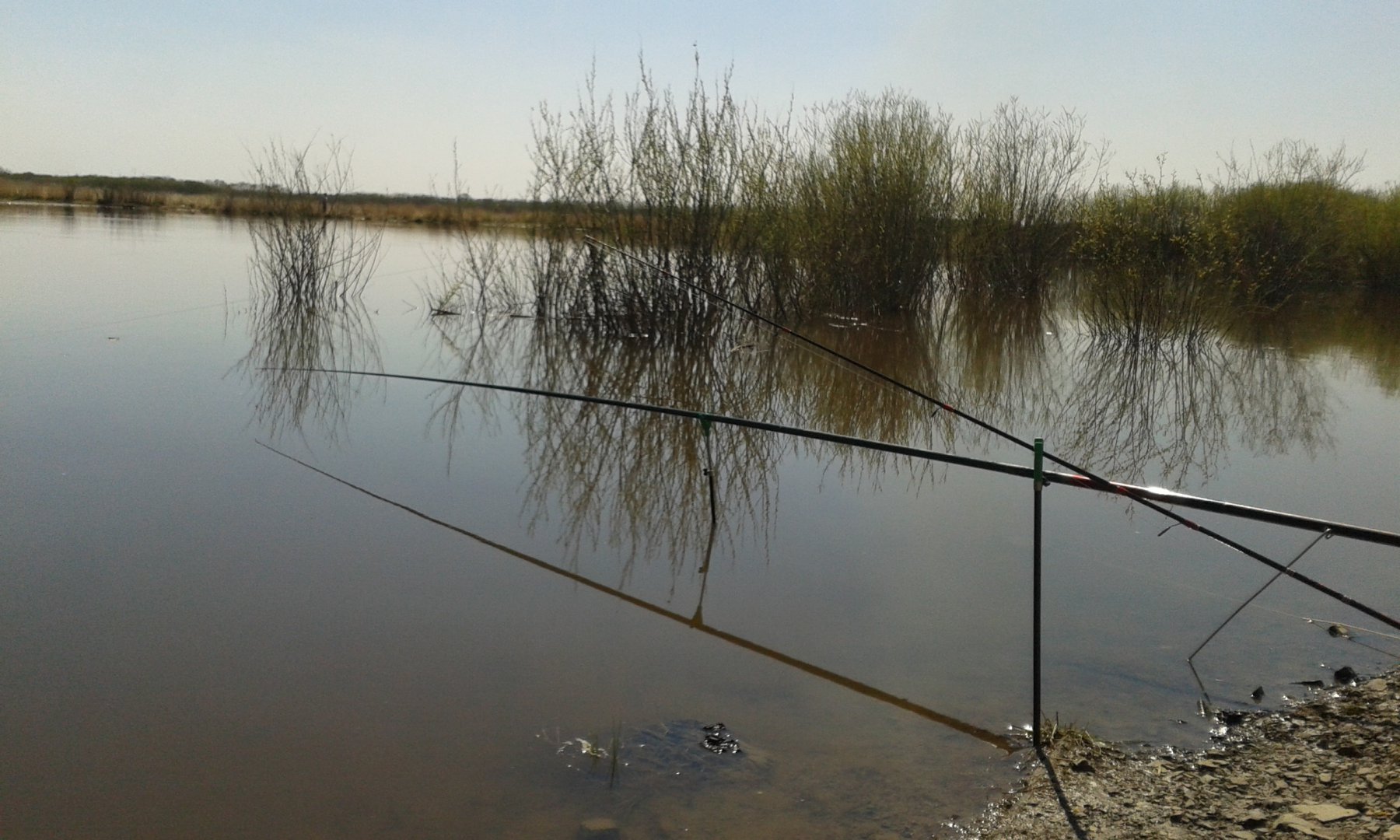 20160510_150357.jpg