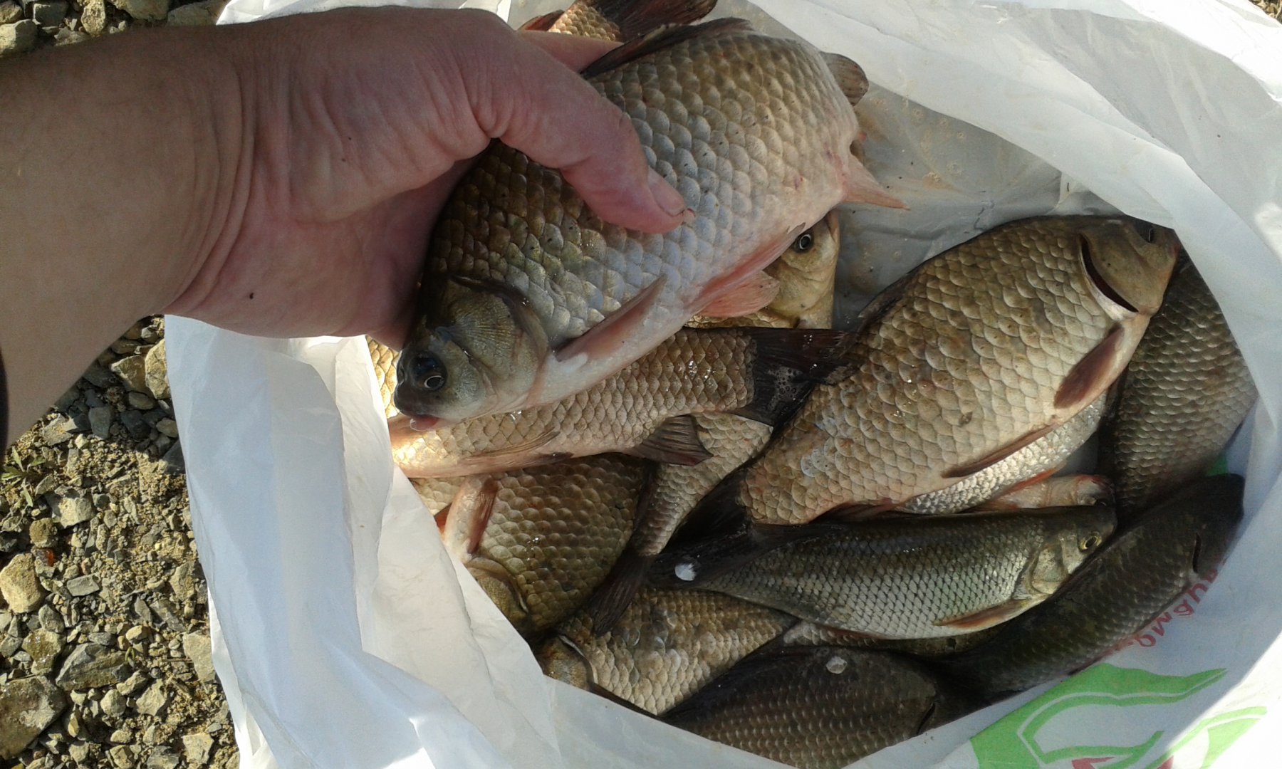 20160510_171045.jpg