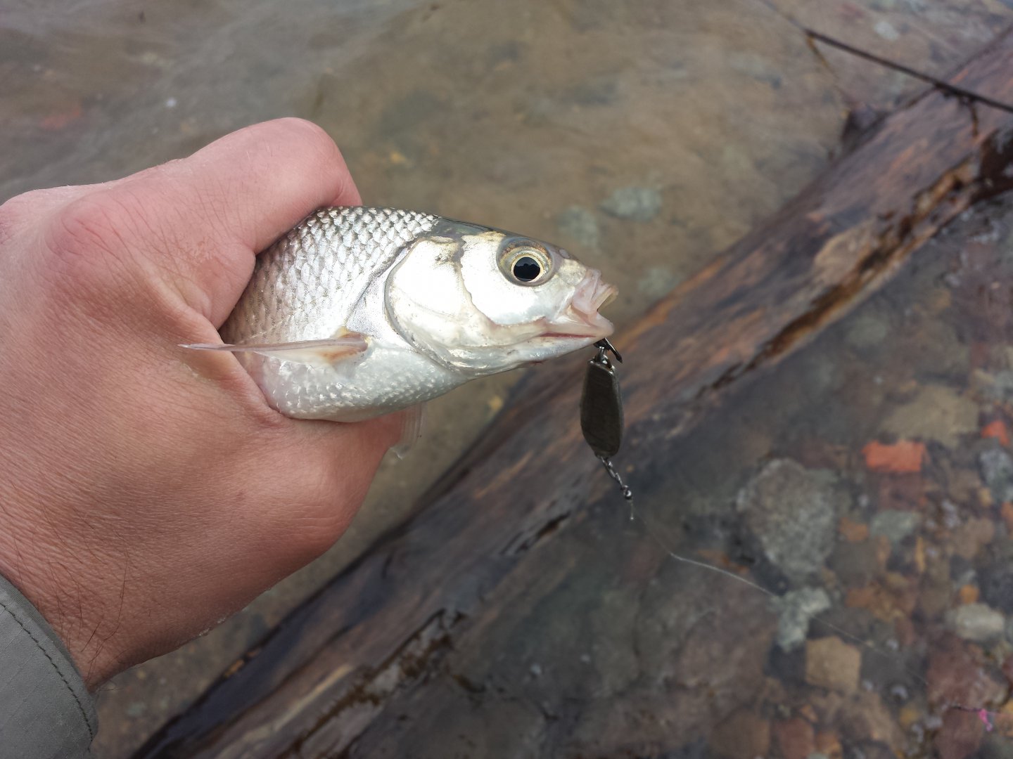 20160526_094854.jpg