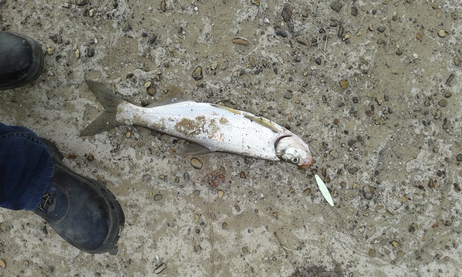 20160526_182030.jpg