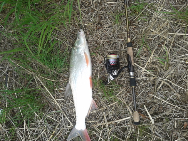20160529_154834.jpg