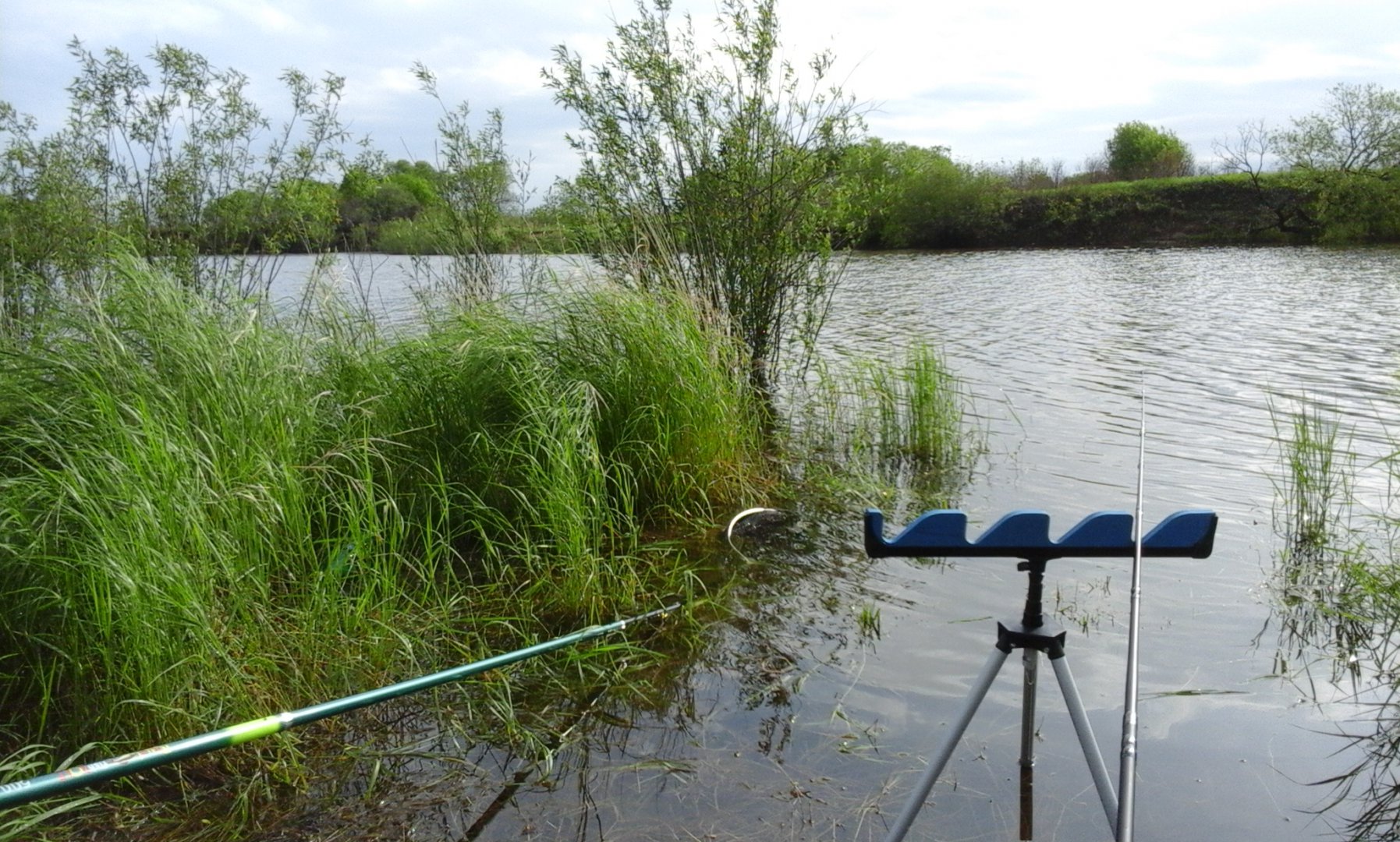 20160530_082048.jpg