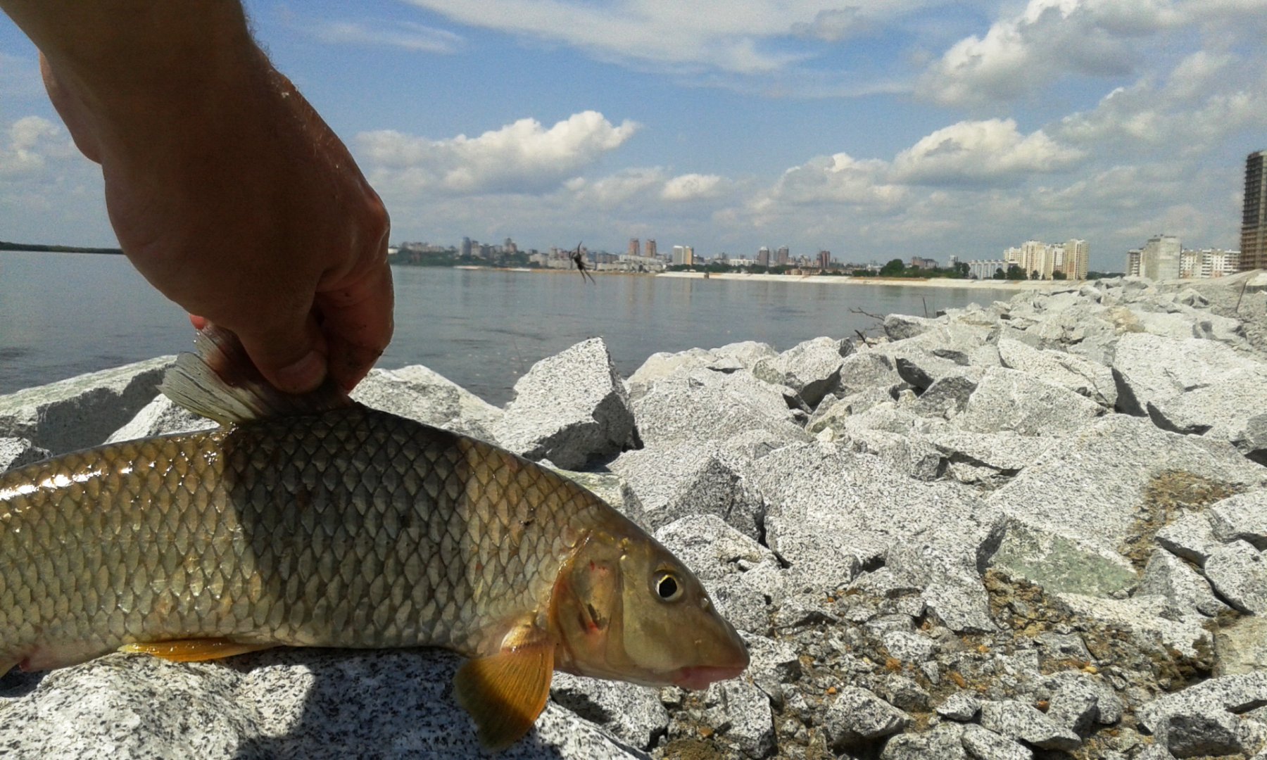 20160530_133216.jpg