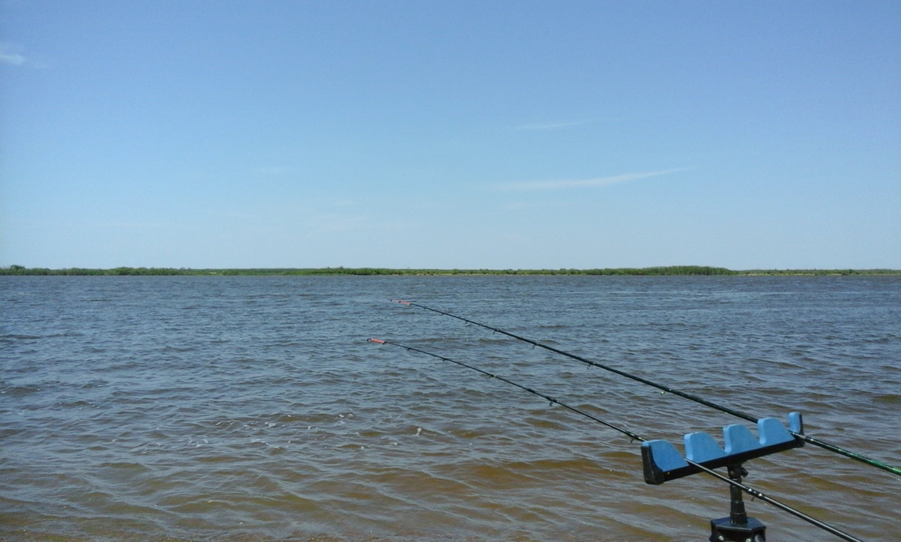 20160601_142659.jpg