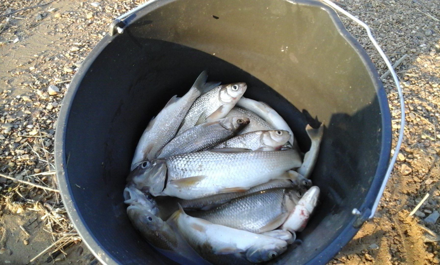 20160601_195447.jpg
