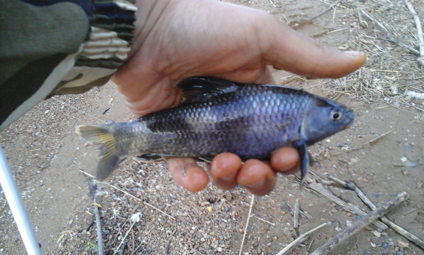20160602_202500.jpg