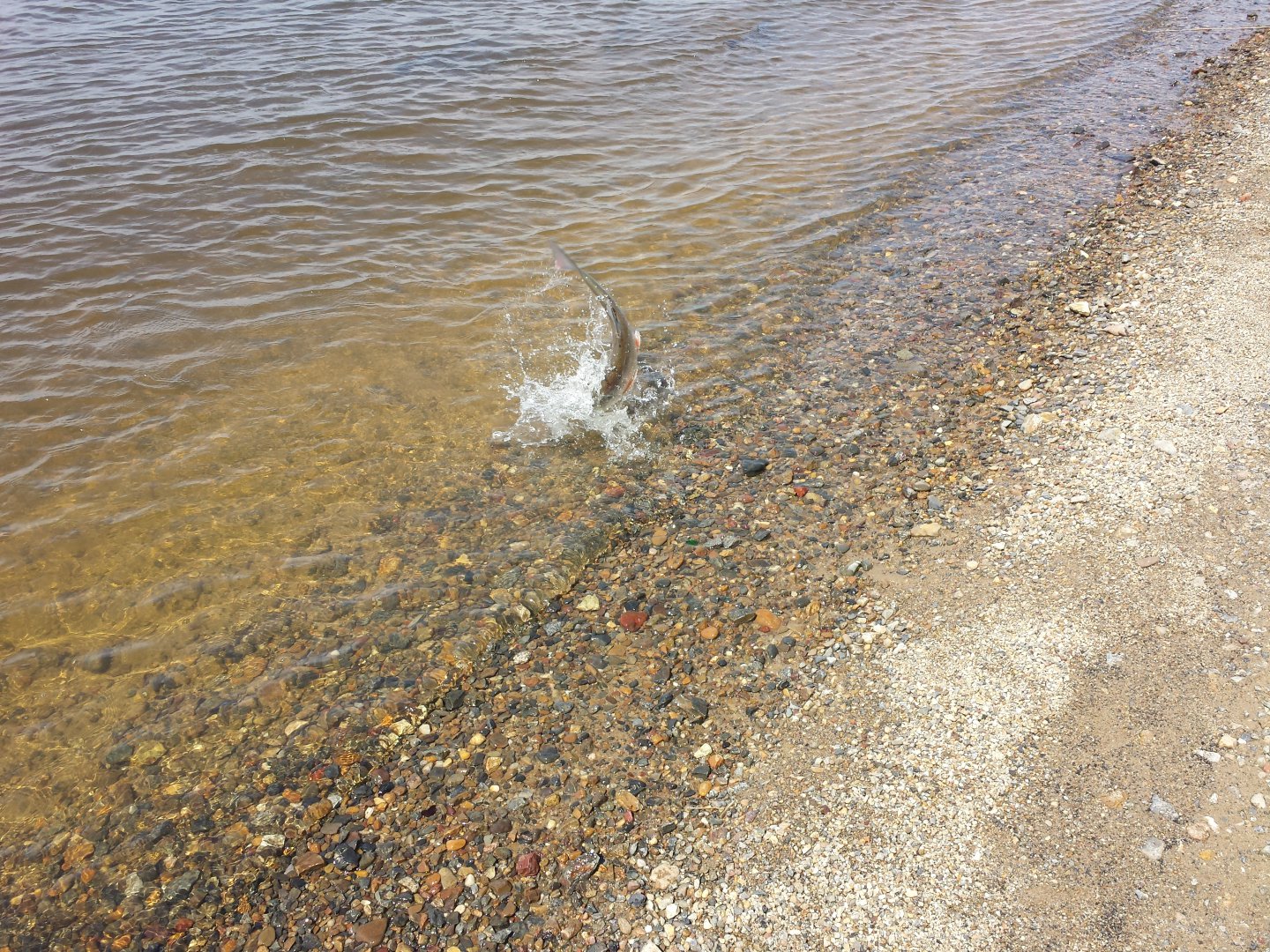 20160604_144415.jpg