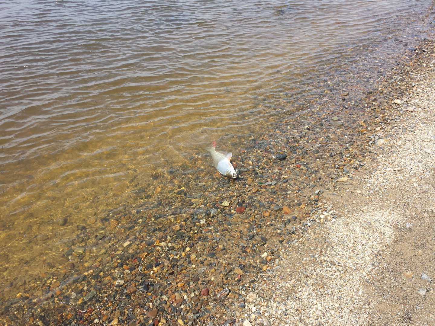 20160604_144419.jpg