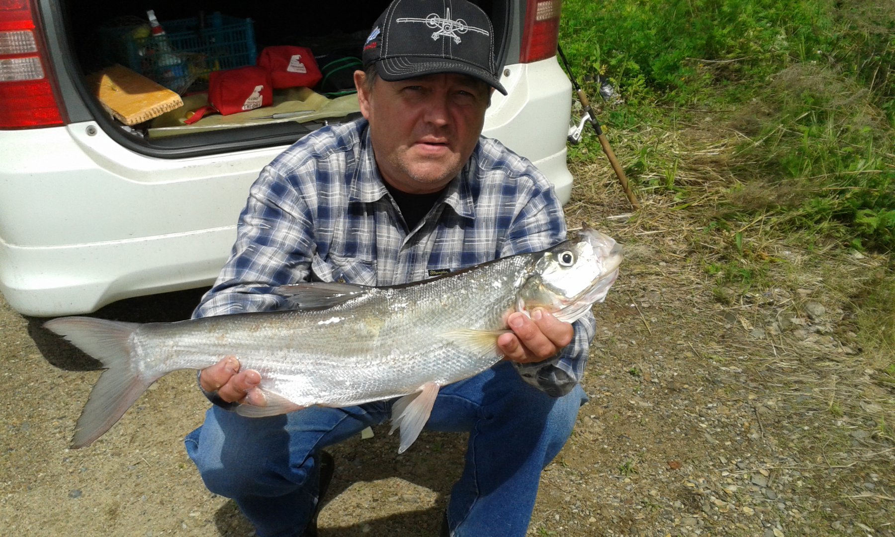 20160610_155132.jpg