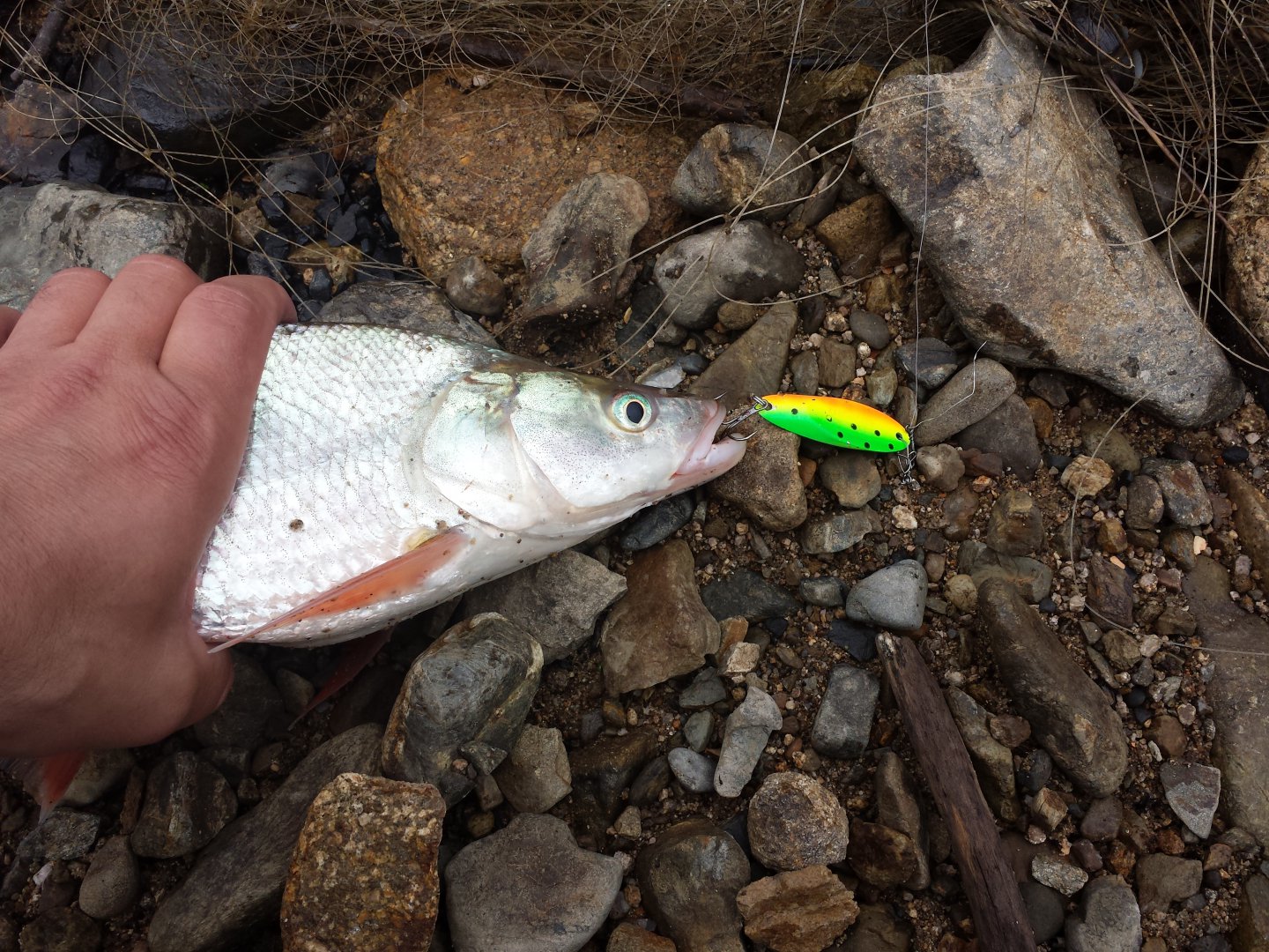 20160613_113556.jpg