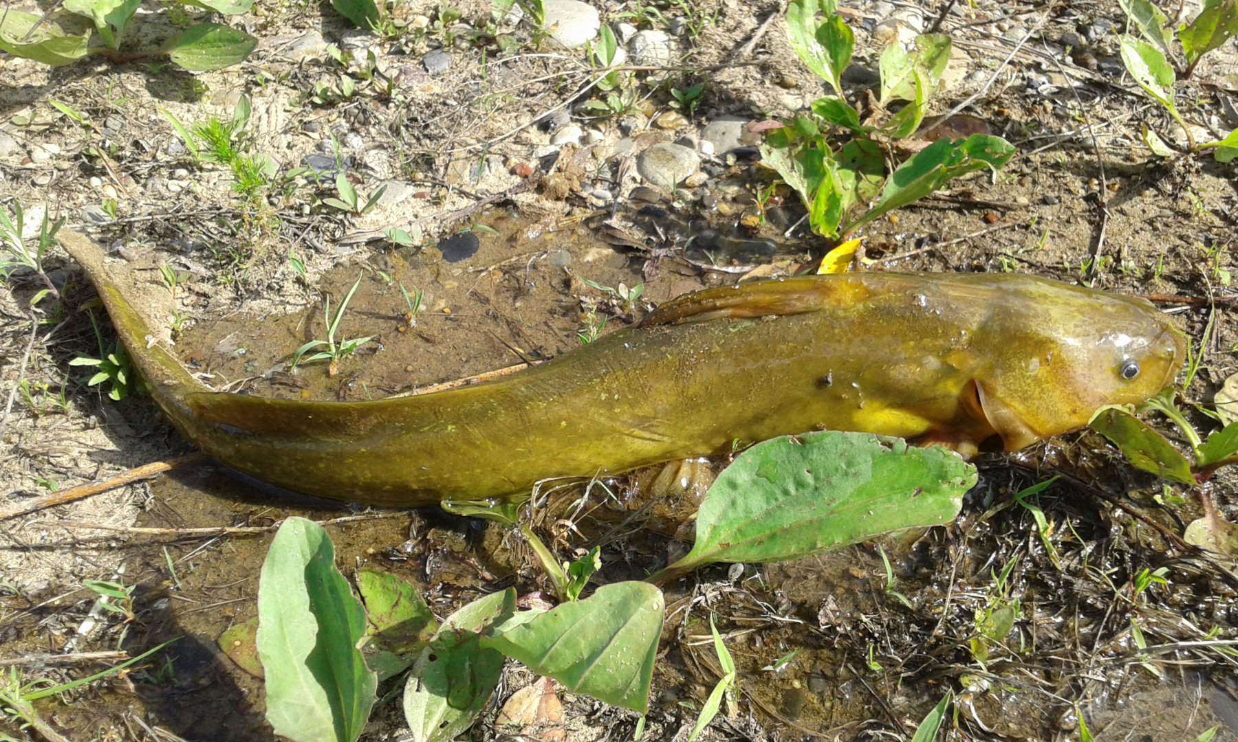 20160622_170456.jpg