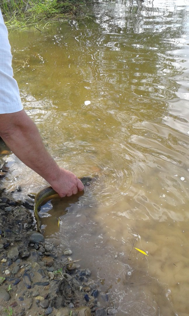 20160622_170543.jpg