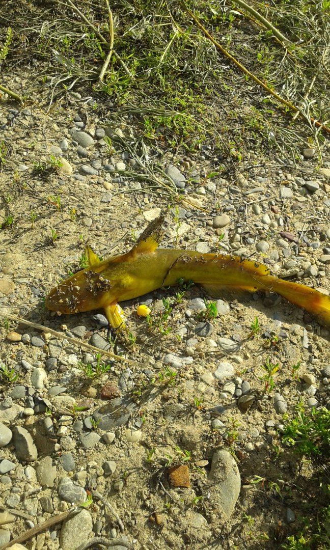 20160622_174007.jpg