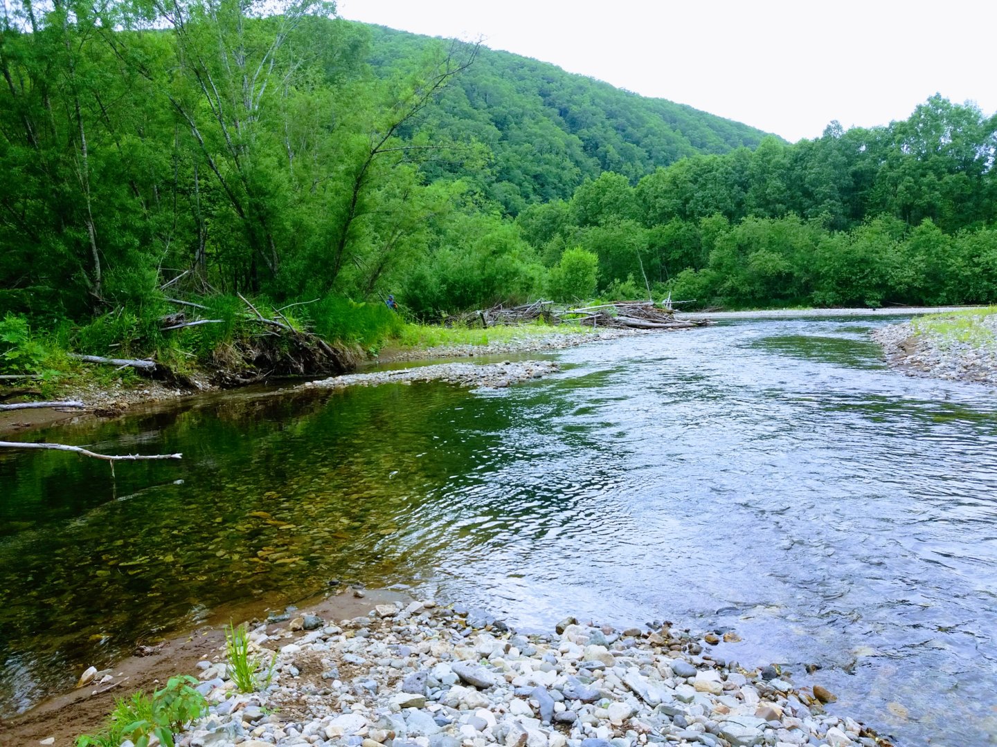 20160626_173159-EFFECTS.jpg