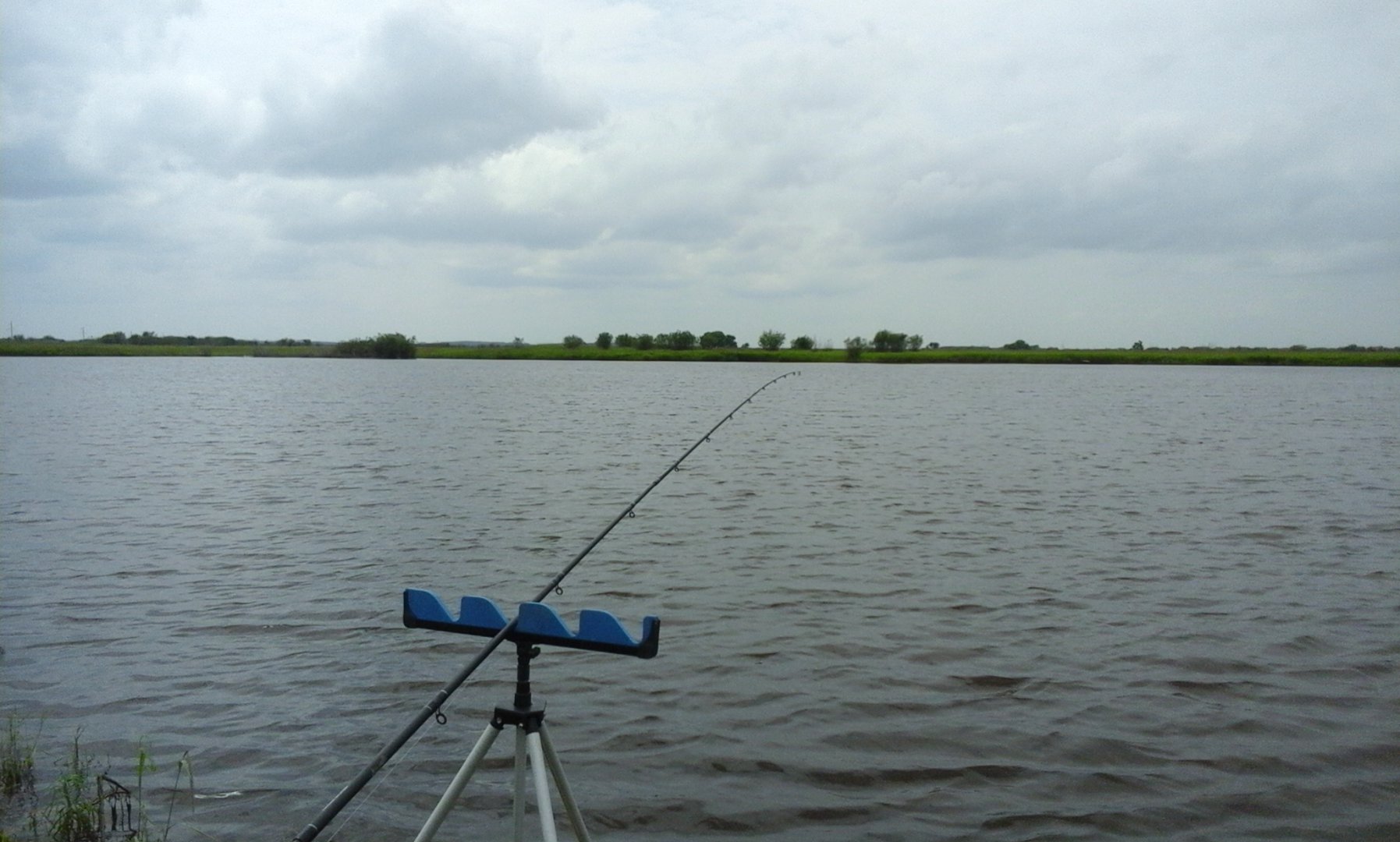 20160701_132656.jpg
