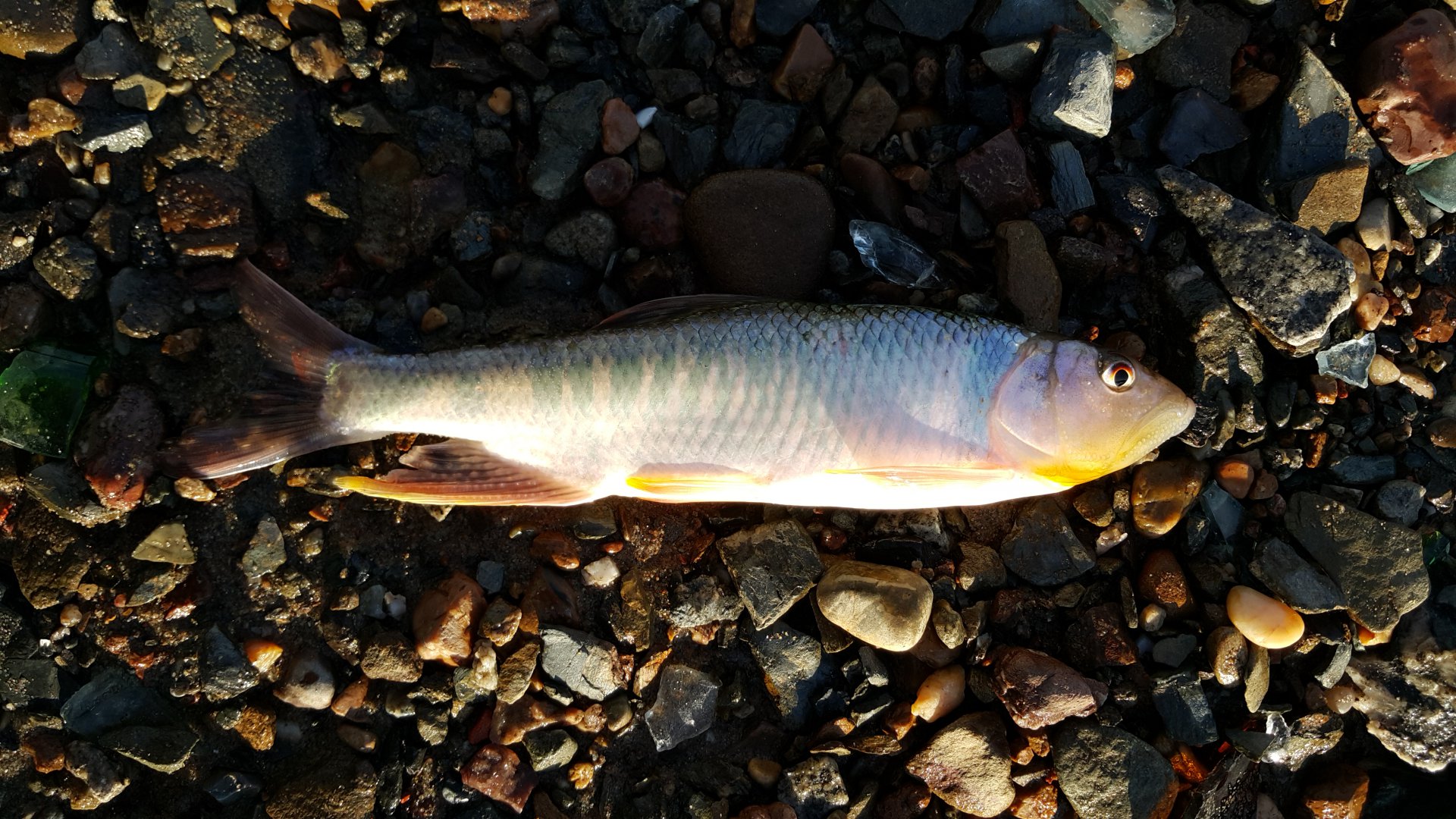 20160702_193912.jpg