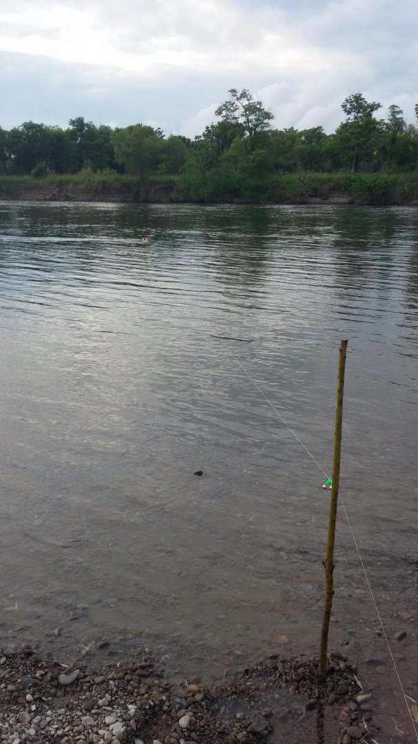 20160703_200141.jpg